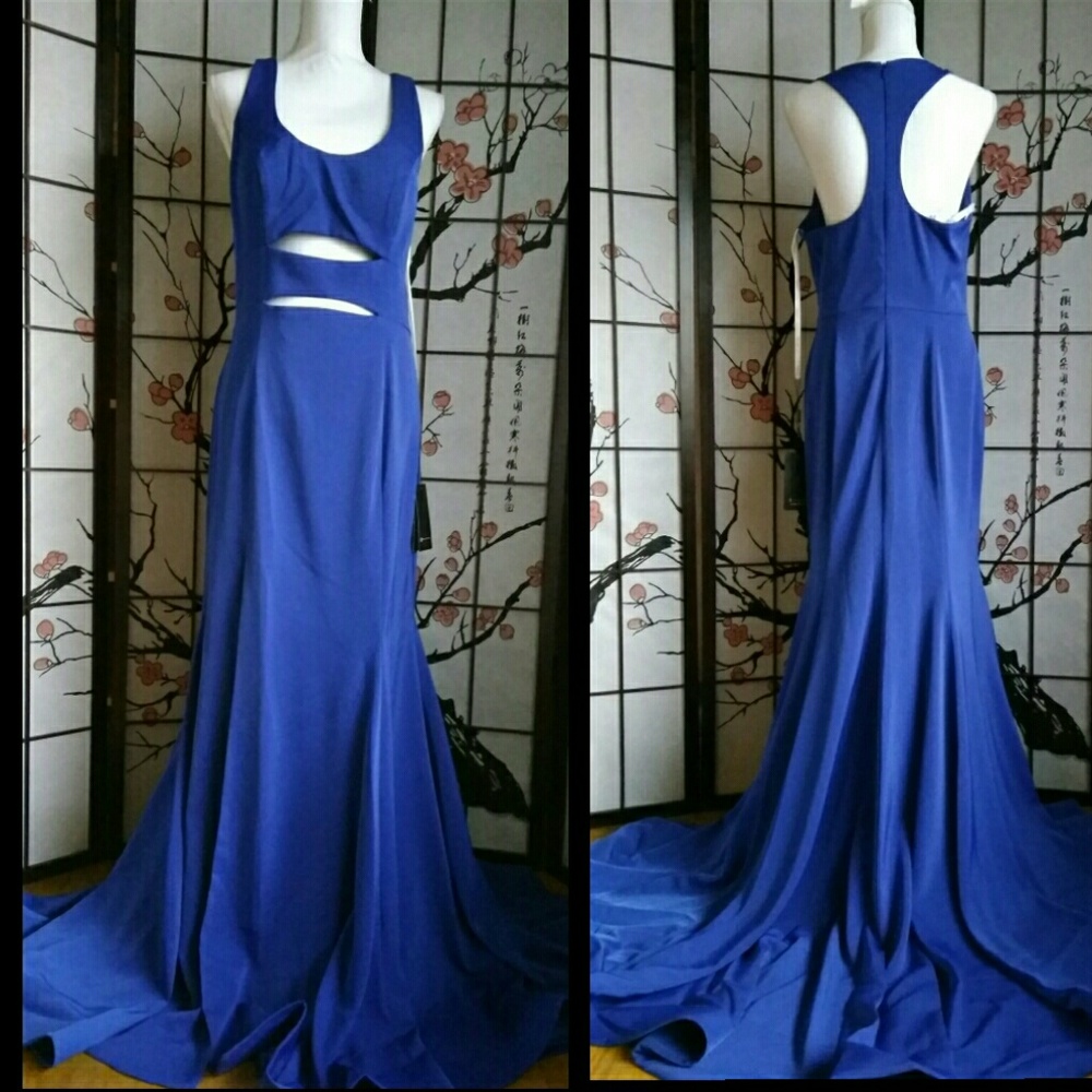 Terani couture Blue Dress